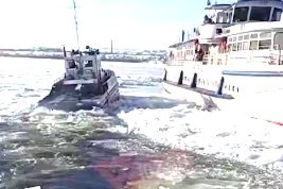 Теплоход с пассажирами застрял на Волге у острова Сарпинский