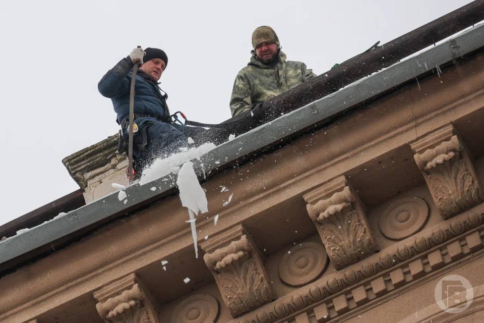 фото: Дмитрий Рогулин / "Городские вести"