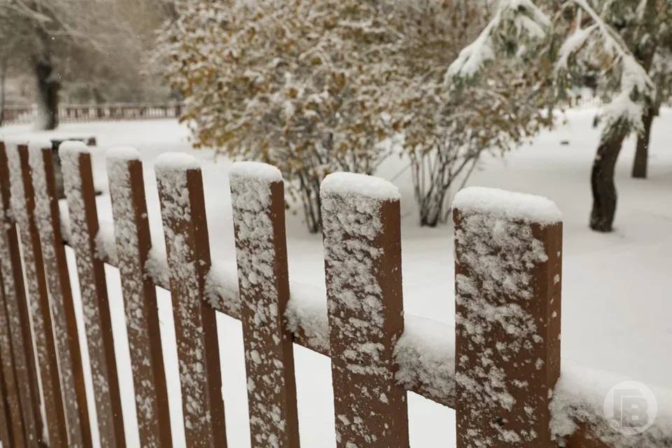 Что запрещено делать 14 февраля, на Трифонов день