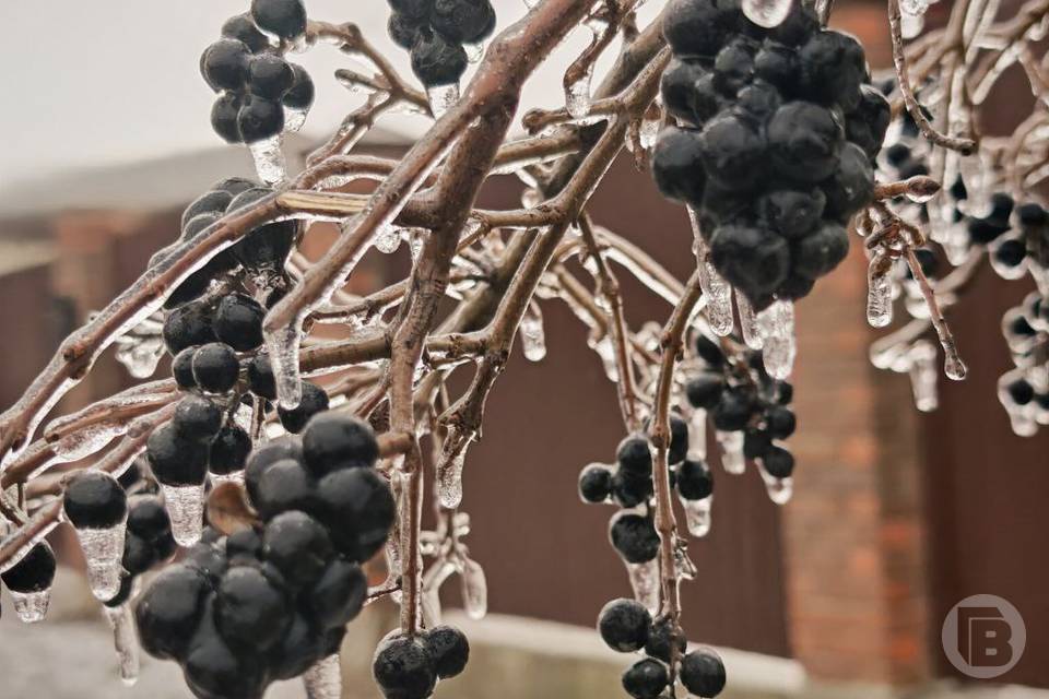 До 17 февраля в Волгограде 3 погодные угрозы