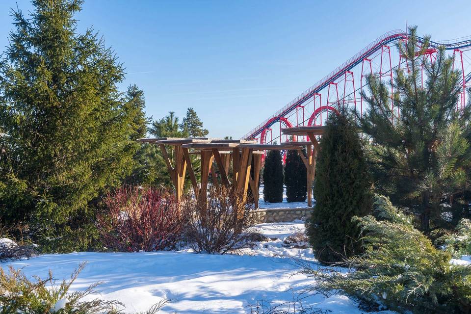 Лунный Новый год в Волгограде перенесли