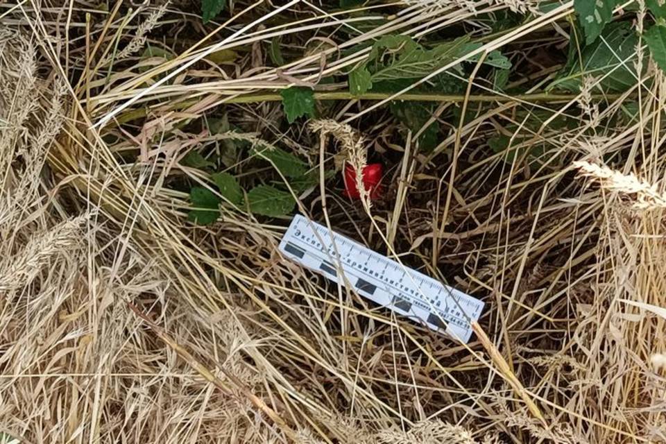 До 20 лет тюрьмы грозит двум наркосбытчикам под Волгоградом