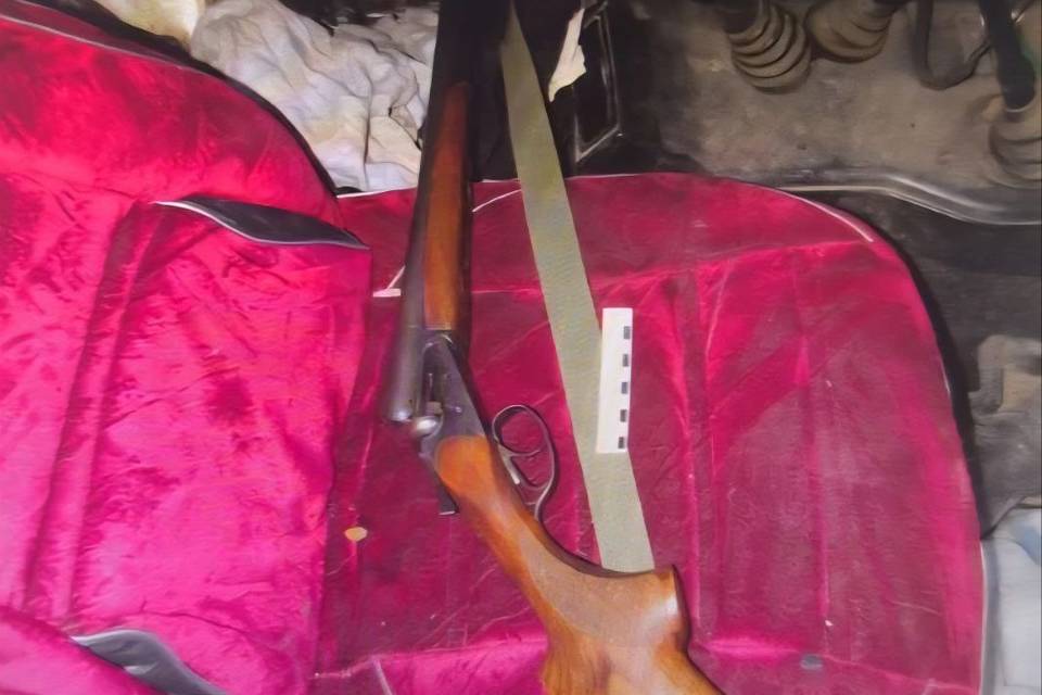 Ранее судимый волгоградец убил косулю, у него изъяли ружья и карабин
