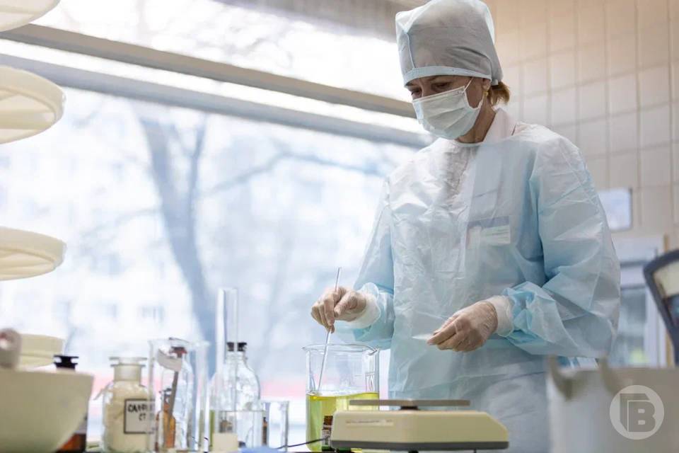 Волгоградцев врач Краснова предостерегла от заражения желтой лихорадкой