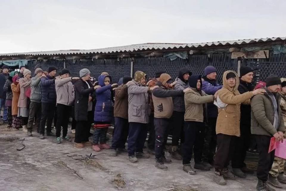 Волгоградец фиктивно поставил на учет 34 узбека