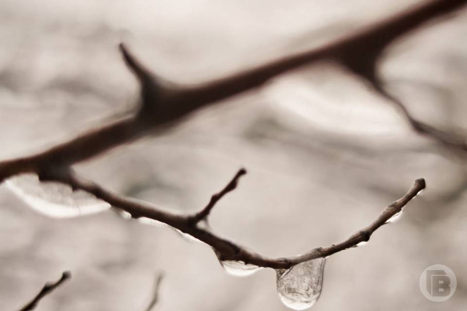 Чего не стоит делать на Прохора Весновея, чтобы не обеднеть