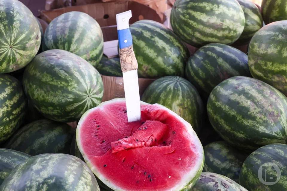 В Камышине выпустили кисломолочный коктейль со вкусом арбуза