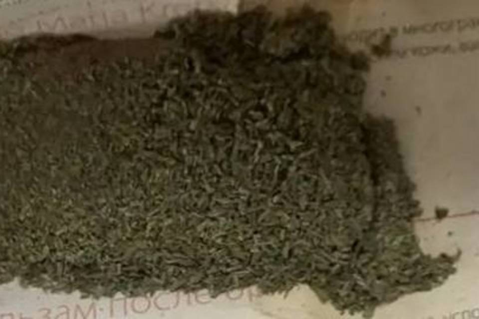 Любителя марихуаны поймали в Камышине