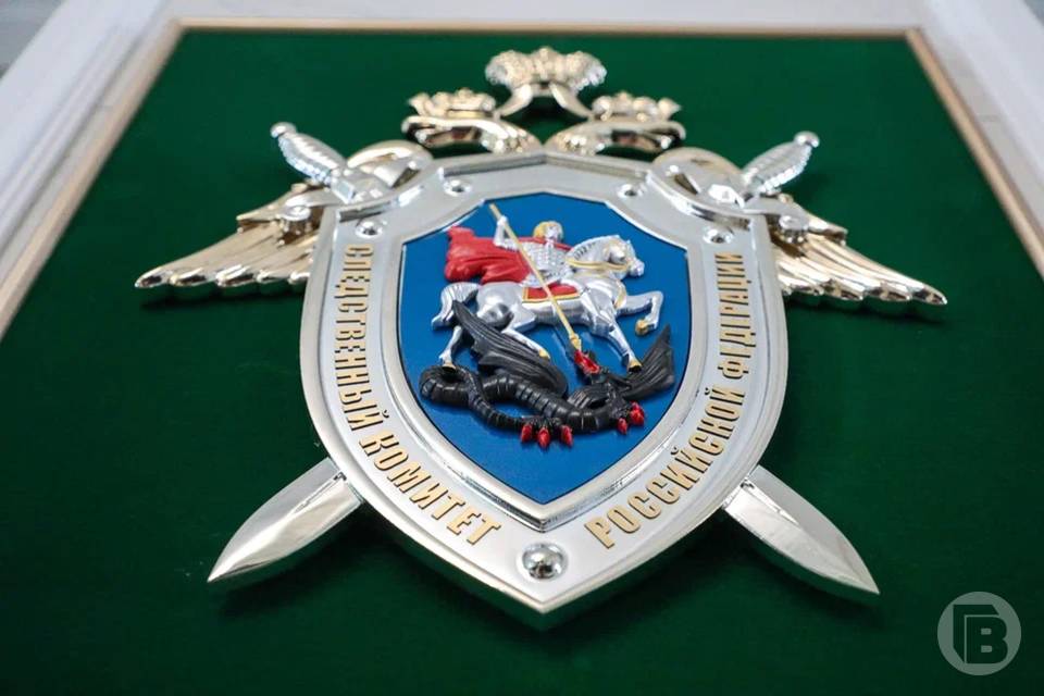 Бастрыкин поручил разобраться с безнадзорными собаками, обитающими рядом с Волгоградом