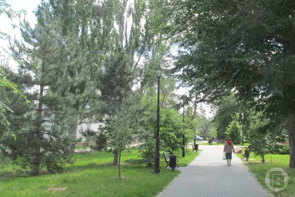 Засуха и жара: что ждет Волгоградскую область весной