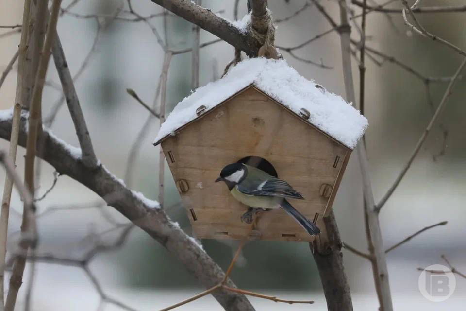 Что запрещается делать 3 марта, чтобы сохранить здоровье и счастье