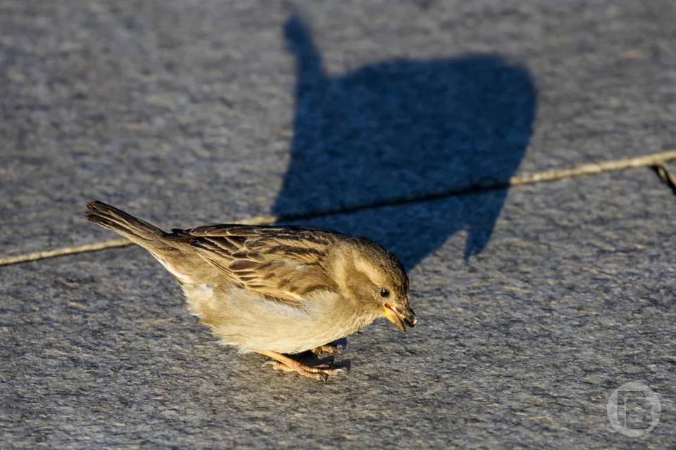 2 марта у волгоградцев на слуху несколько новостей