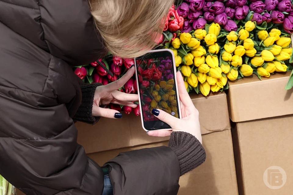 Снег и гололед: прогноз погоды в Волгограде на праздничные выходные