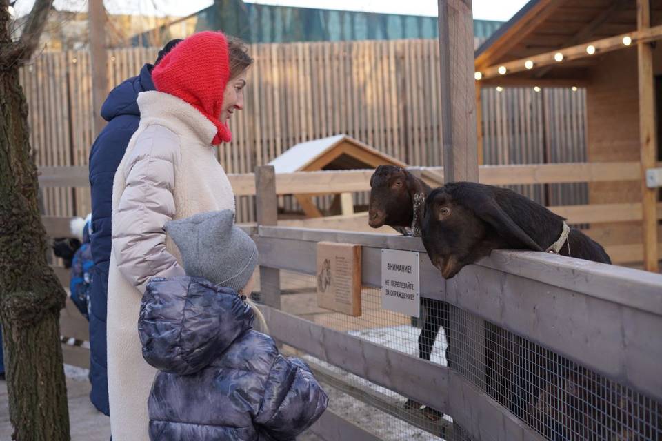 Два козленка родились в ЦПКиО Волгограда