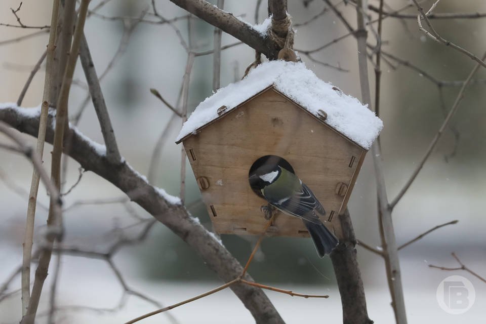 Народные приметы: что нельзя делать 9 марта, в день Иоанна Предтечи