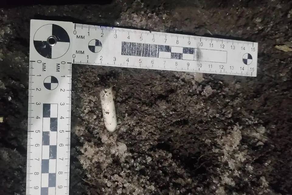 В Михайловке полиция задержала троих за попытку купить наркотики