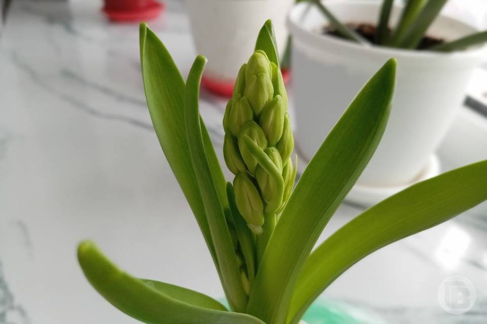 Что можно и нельзя делать 11 марта ради удачи и счастья