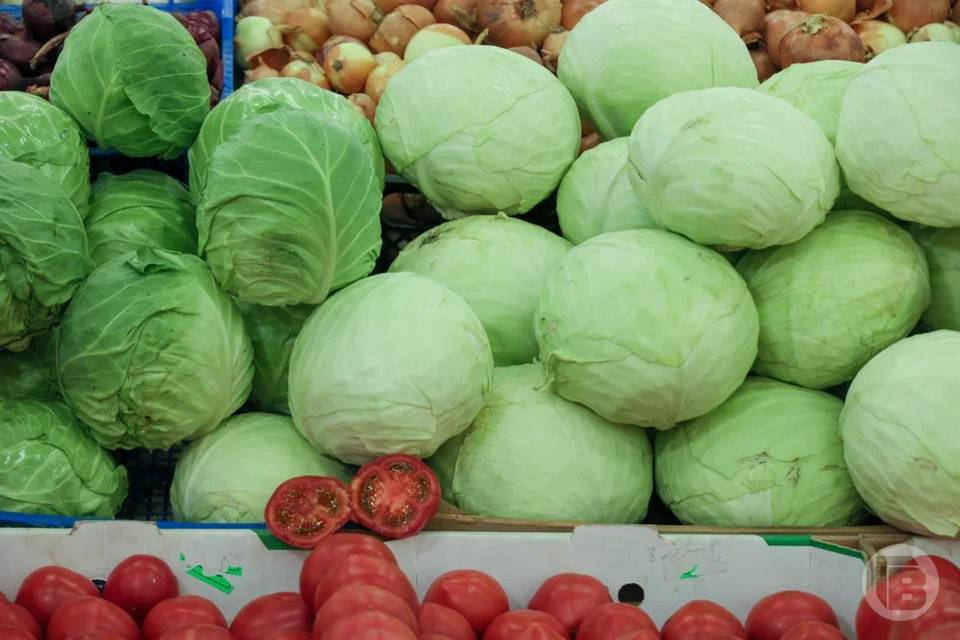 25 тысяч тонн волгоградских овощей прошли через обследования в лаборатории