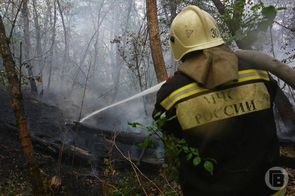 Число природных пожаров снизилось на 21,7% в Волгоградской области за 2025 год