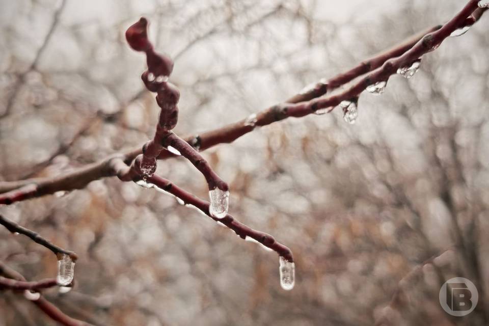 Народные приметы на 13 марта: нельзя мыть полы и давать деньги в долг