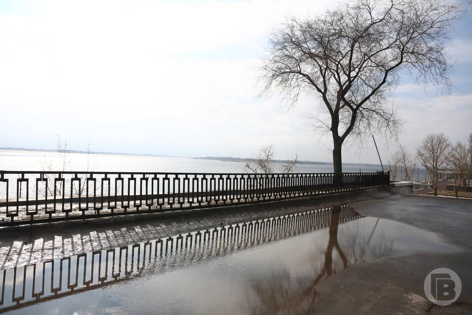 Дождь и туман ожидают волгоградцев 17 марта