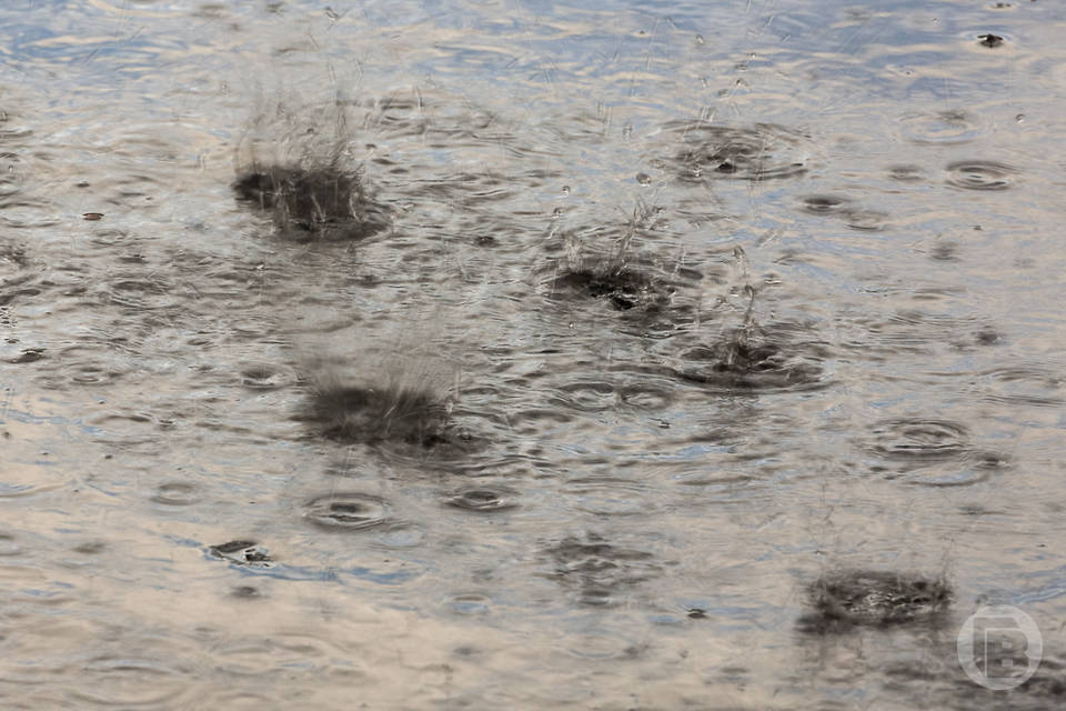 Волгоградцев ждет дождливая погода 18 марта