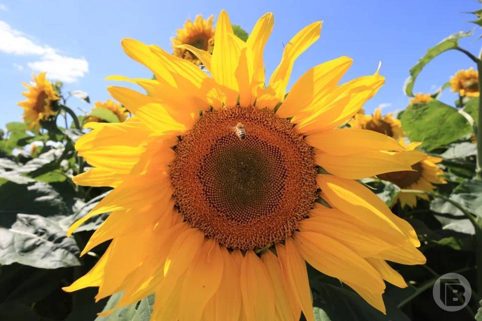 Чего не стоит делать 18 марта, чтобы не настигли неудачи