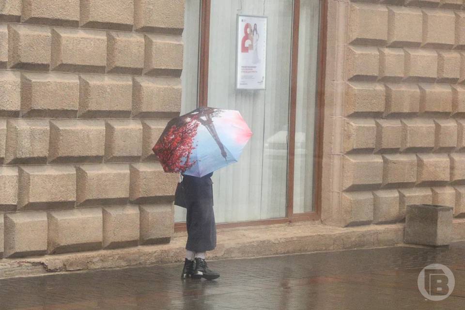 Какой будет погода 18 марта в Волгограде, рассказали синоптики