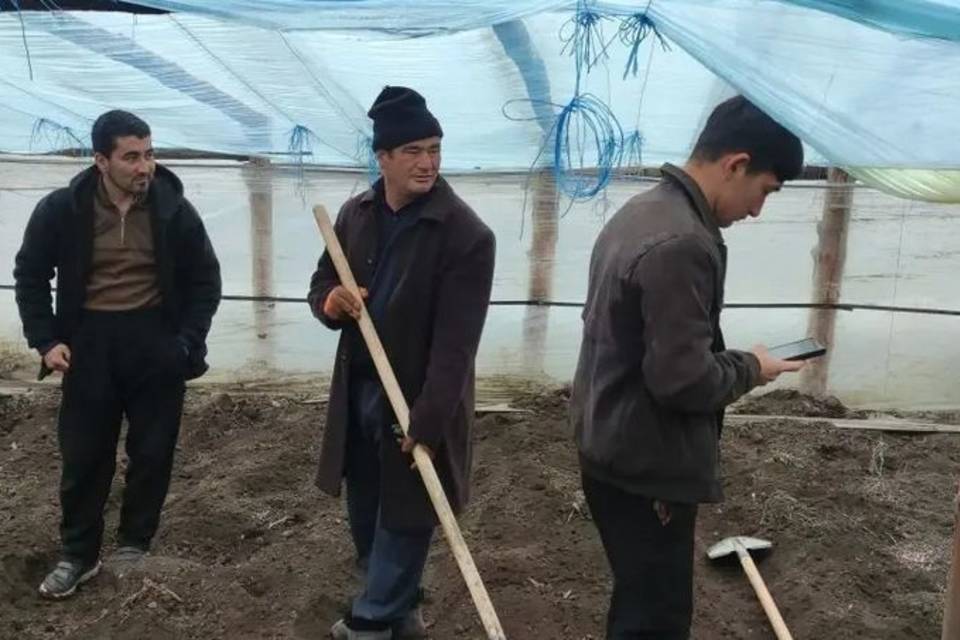 9 мигрантов в Иловлинском районе ответят за нарушение закона