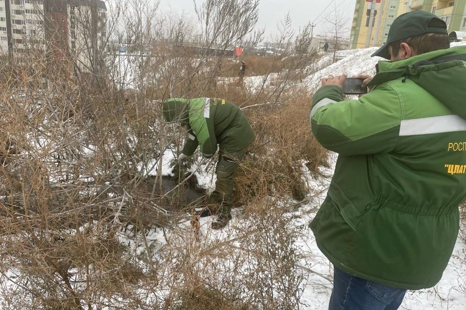 Суд обязал ИП возместить вред почвам в Волгограде
