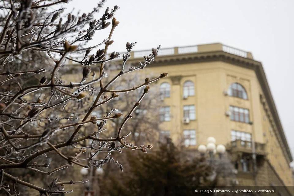 Какой будет погода в Волгограде 22 марта