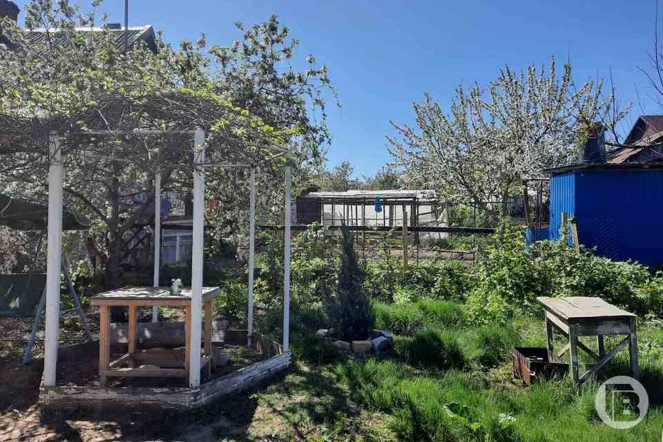 Волгоградцам напомнили о штрафах за поджог сухой травы