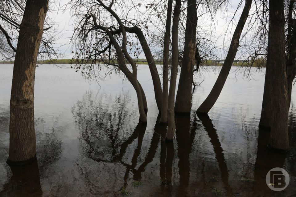 Что запрещено делать 23 марта, чтобы спастись от бед