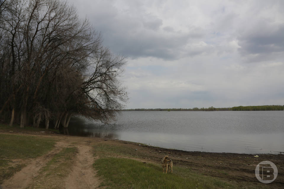 День Василисы: что можно и нельзя делать 23 марта по народному календарю