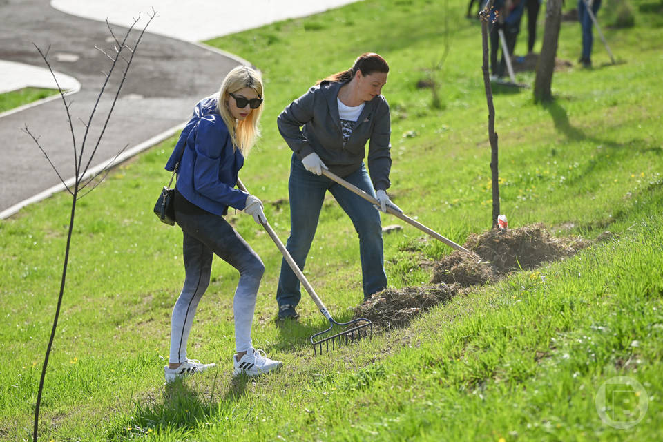 Месячник по благоустройству стартовал в Волгограде с 23 марта