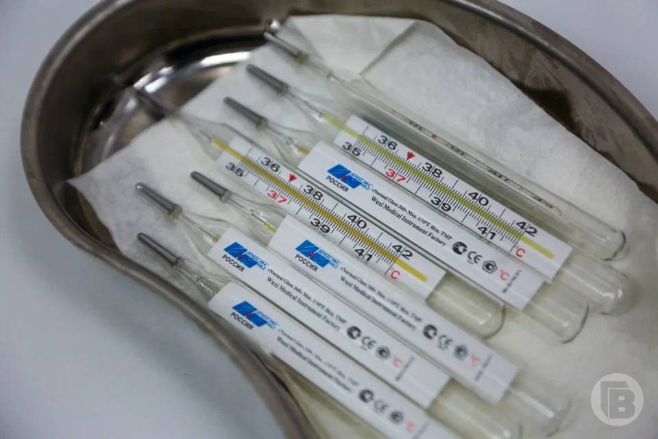 Какие сезонные вирусы атакуют волгоградцев, сообщают санврачи