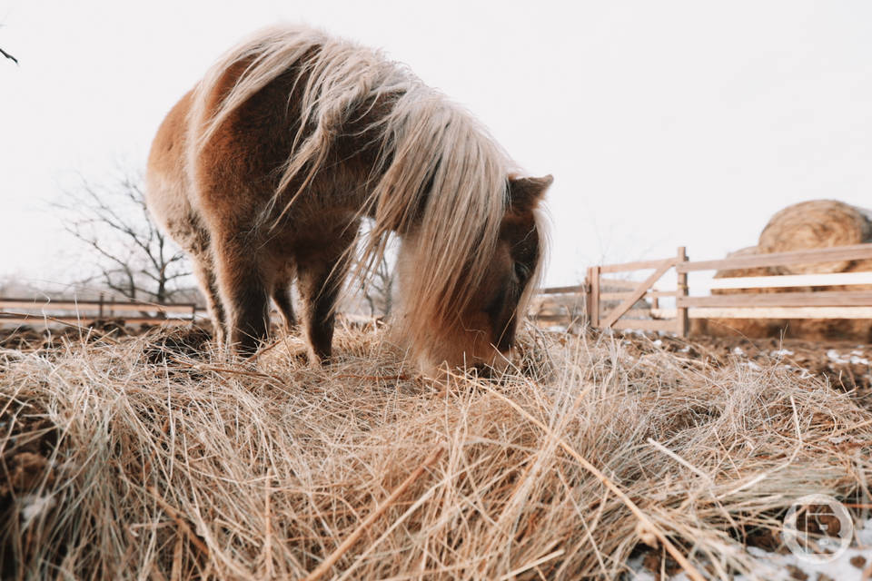 Феофан Исповедник: что запрещается делать 25 марта, чтобы не согрешить
