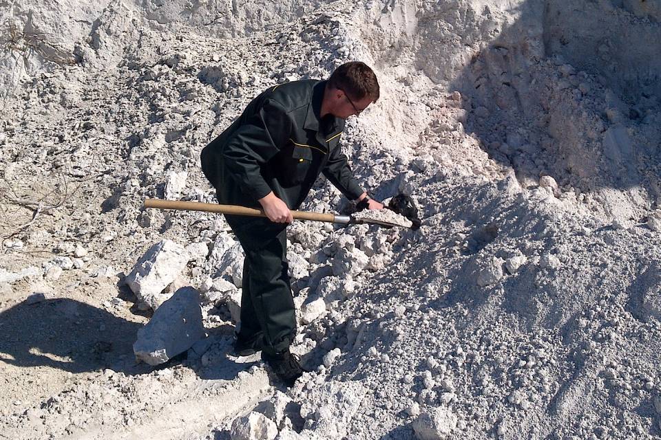 Волгоградское ООО оштрафовали на 77,5 млн рублей за незаконную свалку