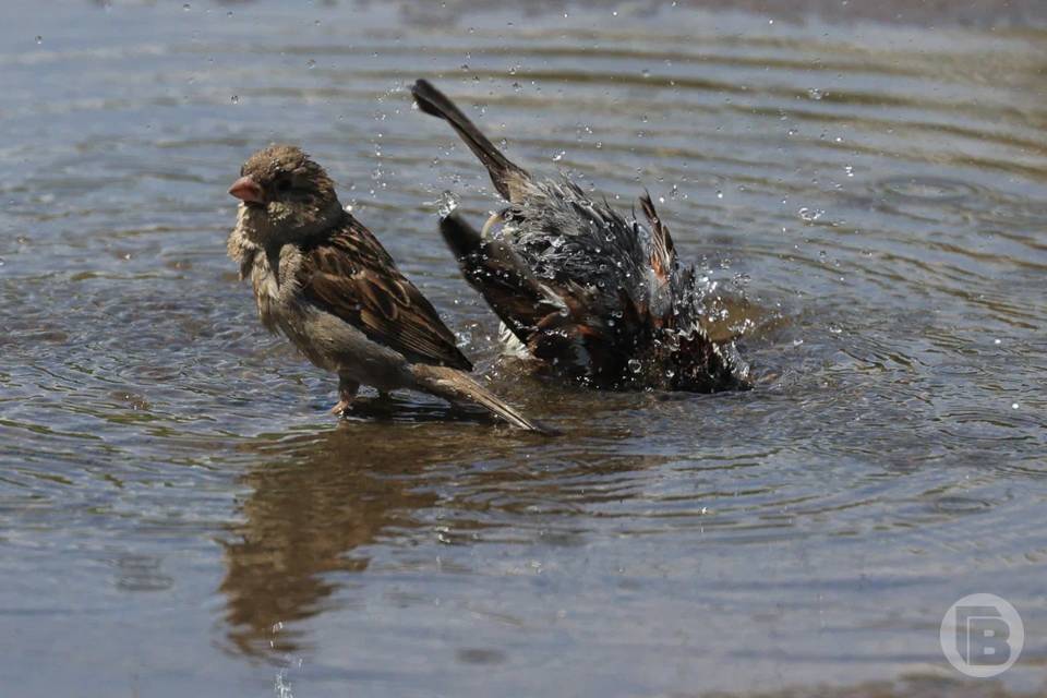 Приметы на 27 марта: зеркала и ножи под запретом