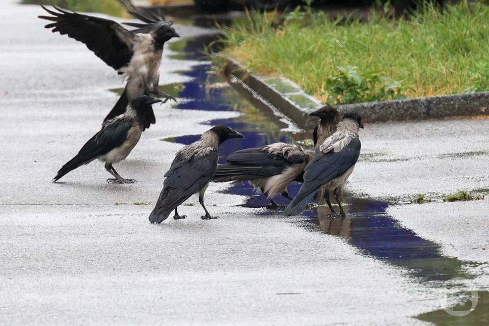 Приметы на 27 марта: почему нельзя смотреться в зеркало до заката