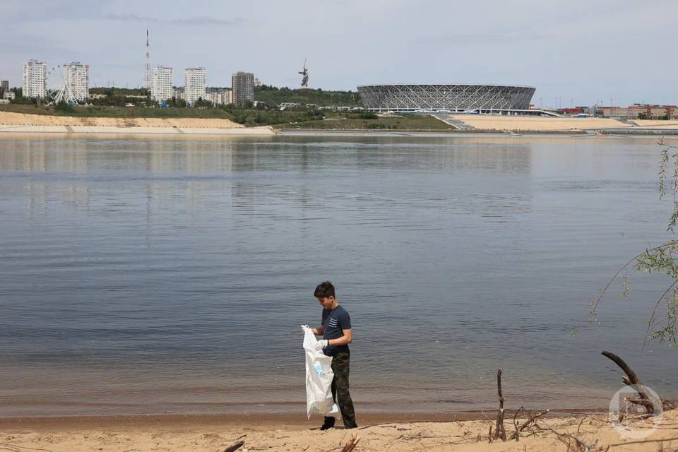 Ученые нашли 10 новых видов рыб в Волге