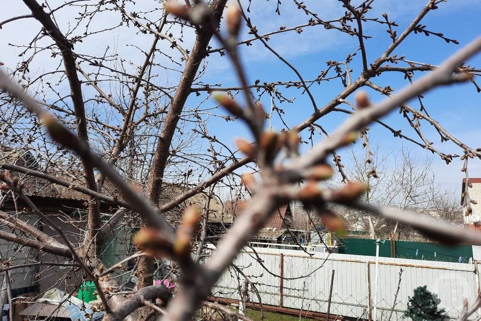 Какой будет погода в Волгограде 30 марта, сообщают синоптики