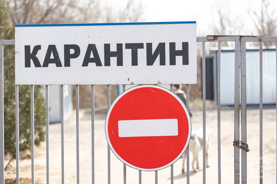 Карантин в двух селах ввели в Волгоградской области
