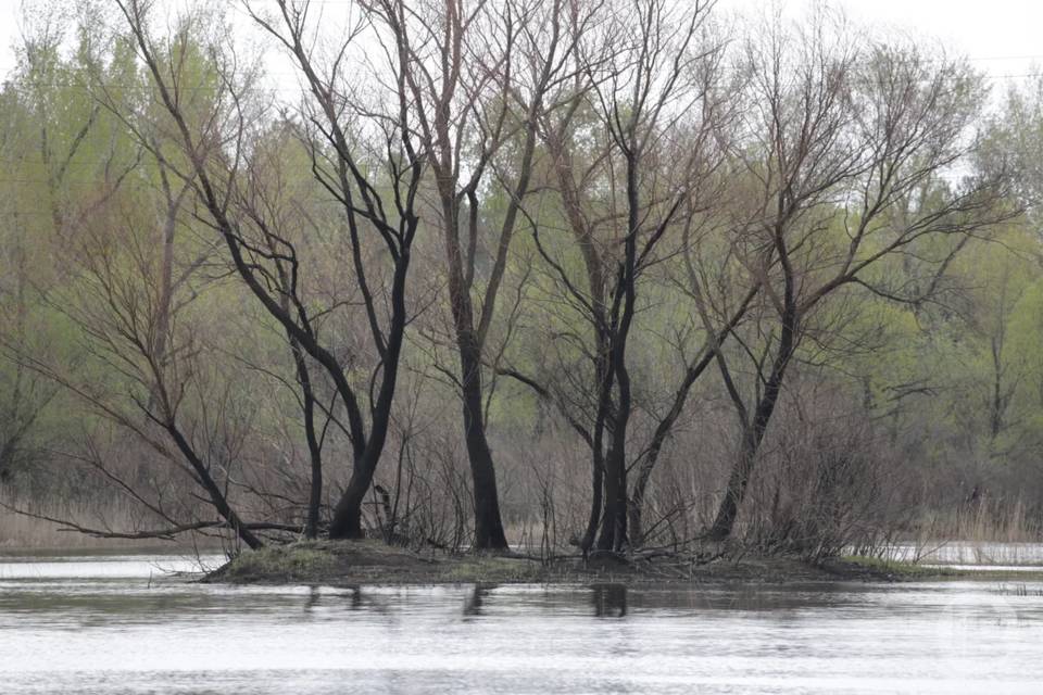 Народные приметы на 30 марта: что можно и что нельзя делать ради счастья