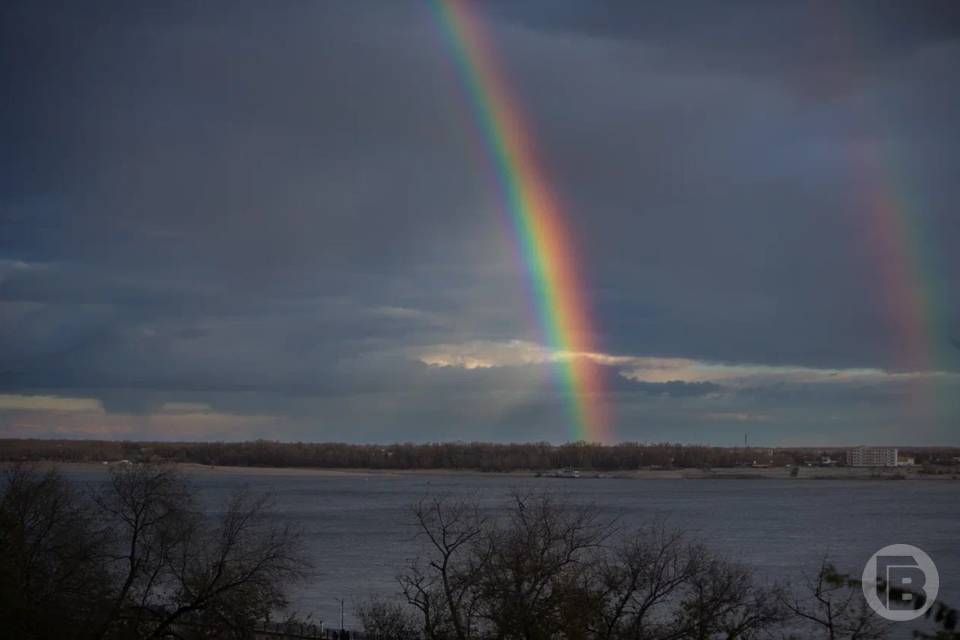 Погода в начале апреля в Волгограде: в городе будет влажно и жарко