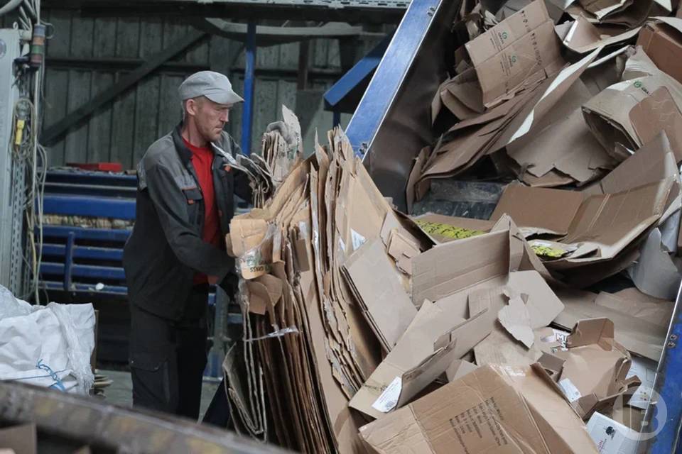 Волгоградцы стали чаще сортировать отходы