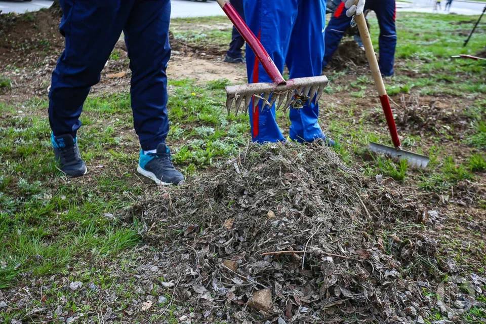 Камышинский район Волгоградской области приступает к большой уборке
