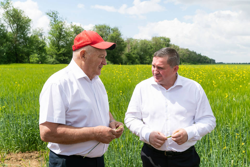 Бочаров поздравил Колесниченко с присвоением звания Героя Труда РФ