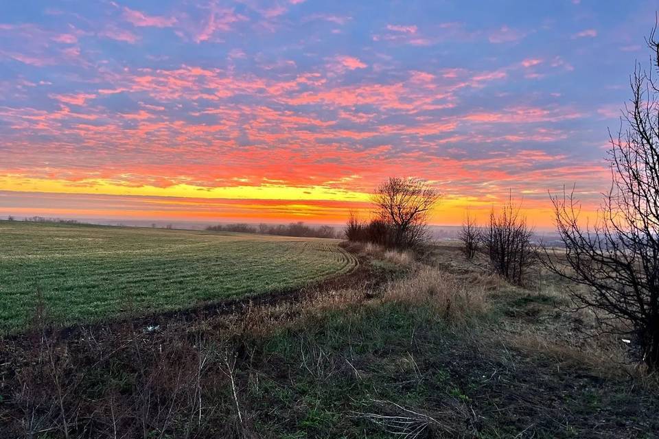 В Волгоград пришли фантастические закаты