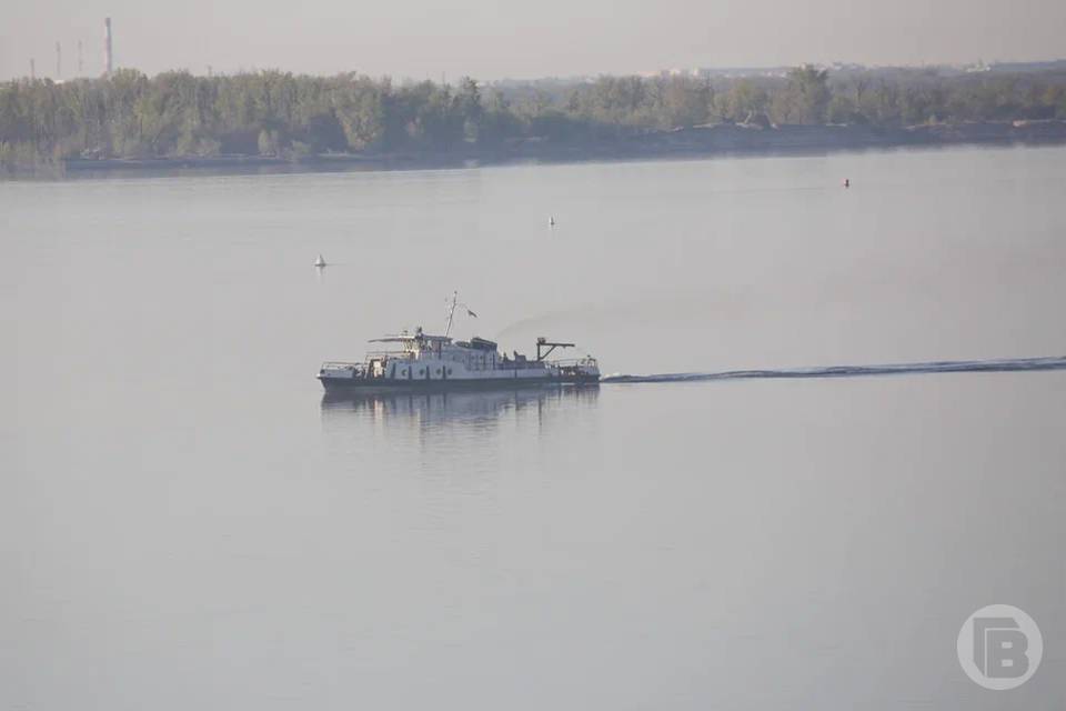 Неизвестных науке рыб нашли в Волге